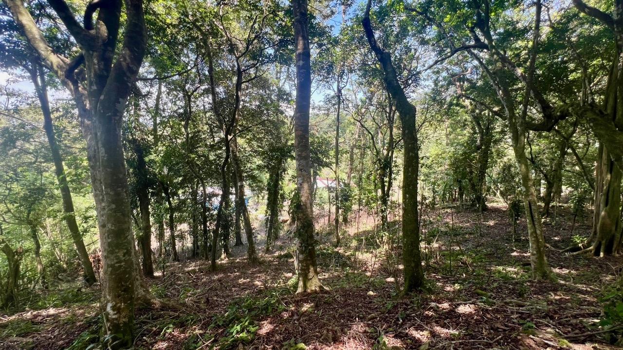 Terreno en venta en La Laguna