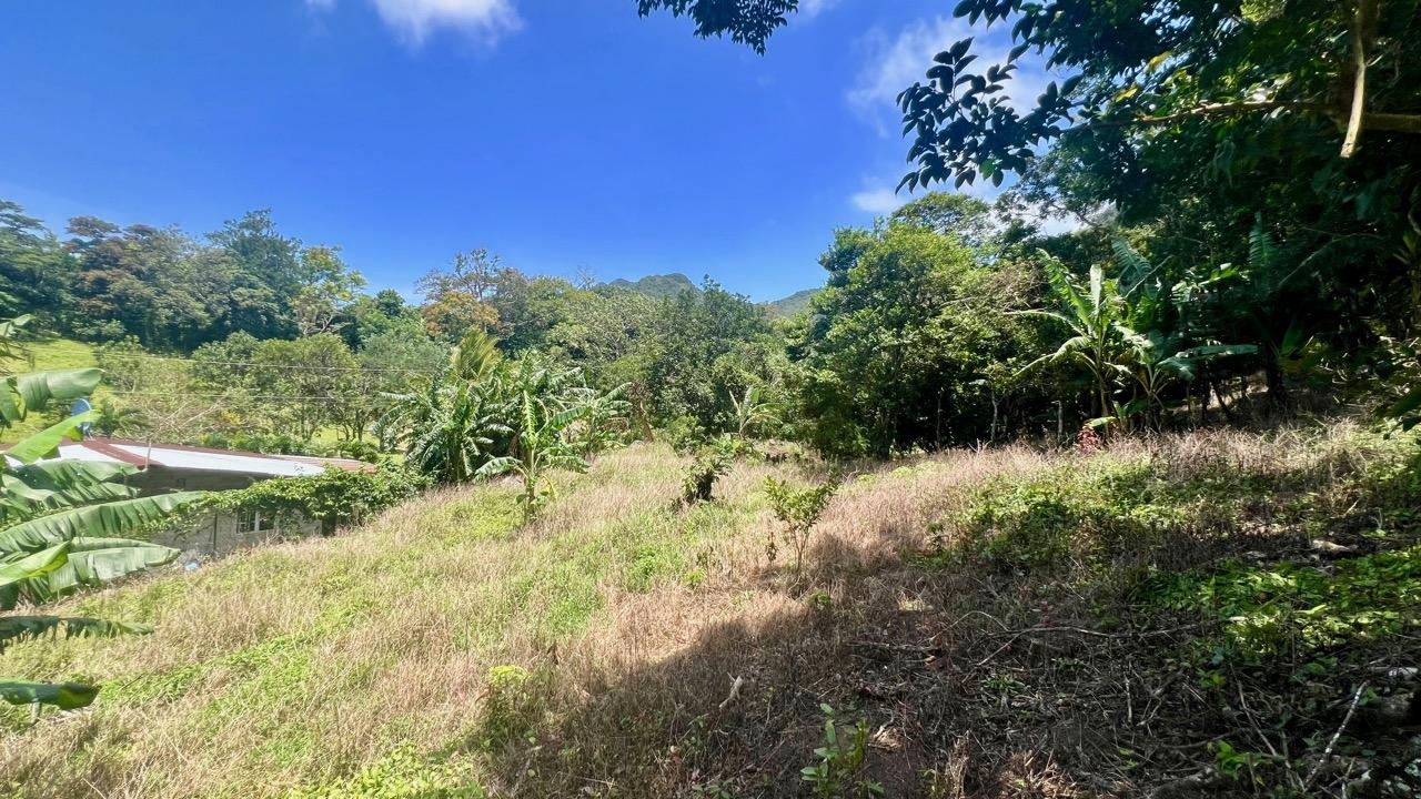 Terreno en venta en La Laguna