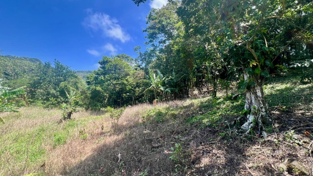 Terreno en venta en La Laguna