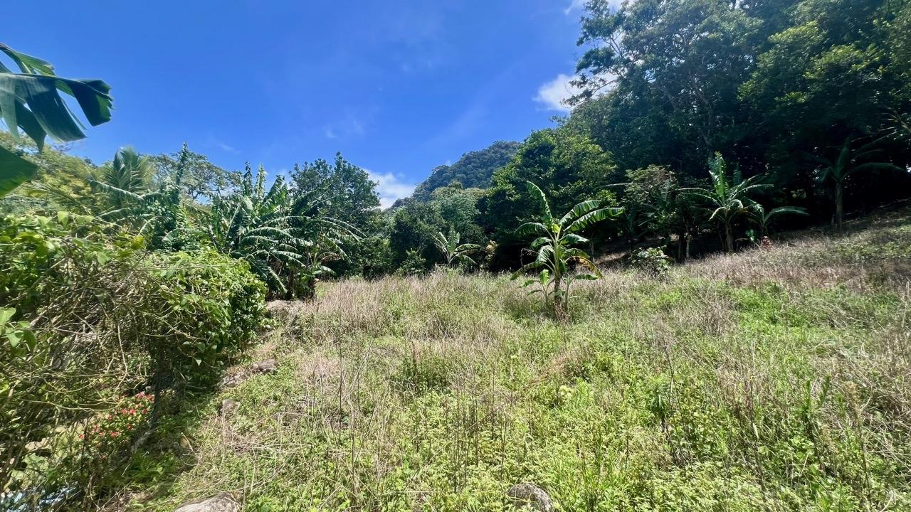 Terreno en venta en La Laguna