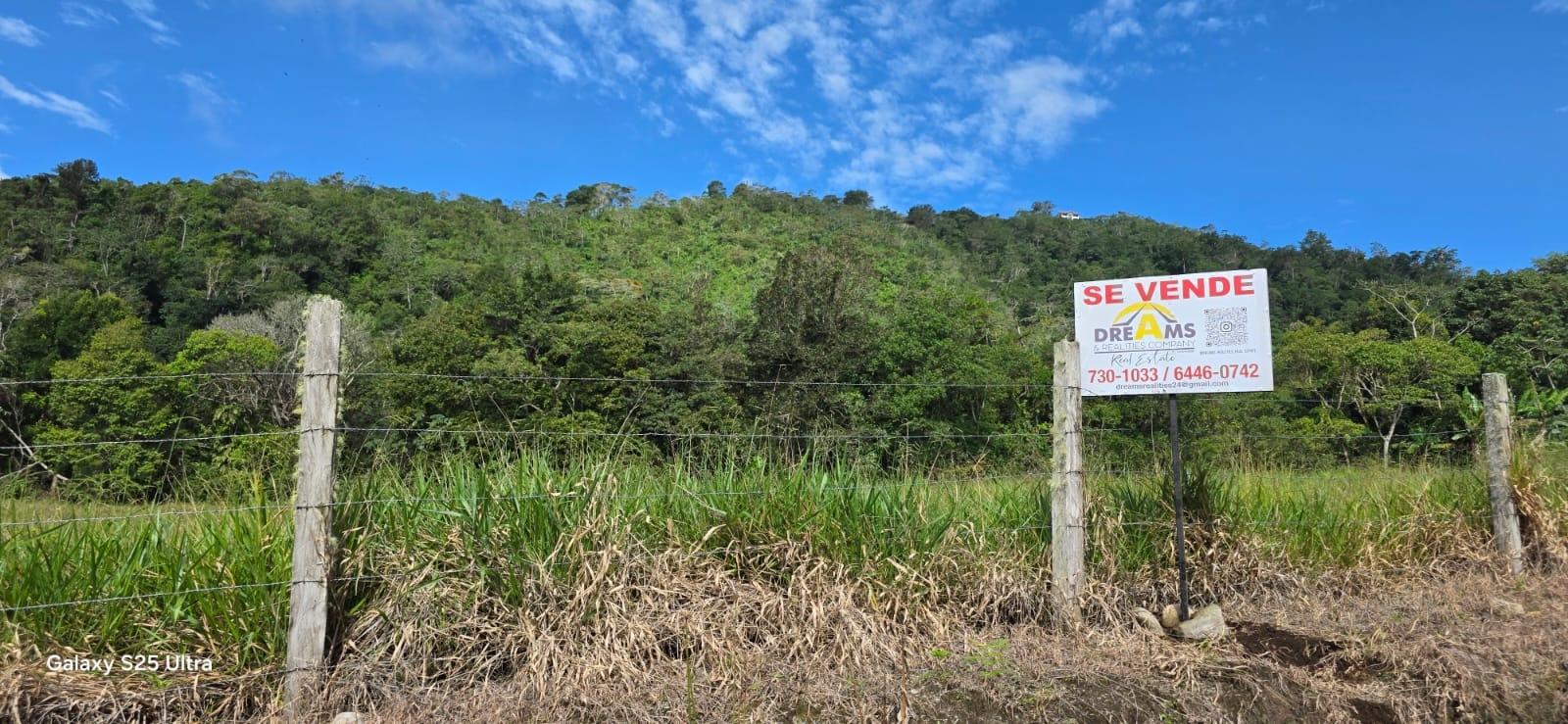 Terreno en venta en Dolega