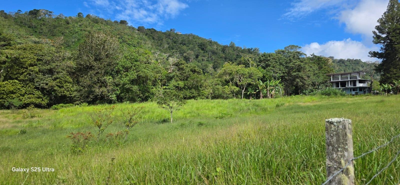 Terreno en venta en Dolega