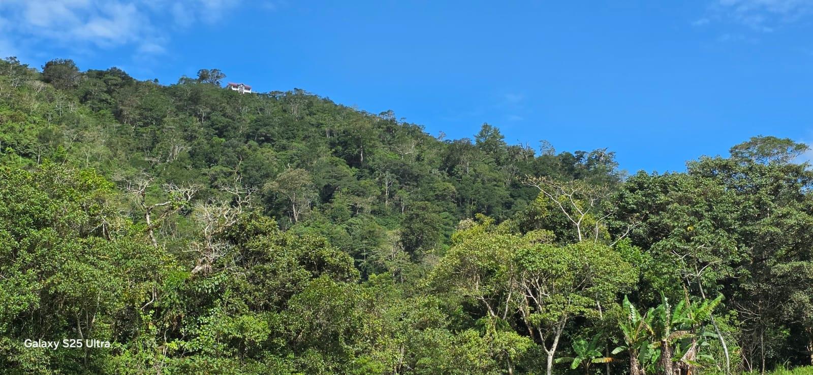 Terreno en venta en Dolega