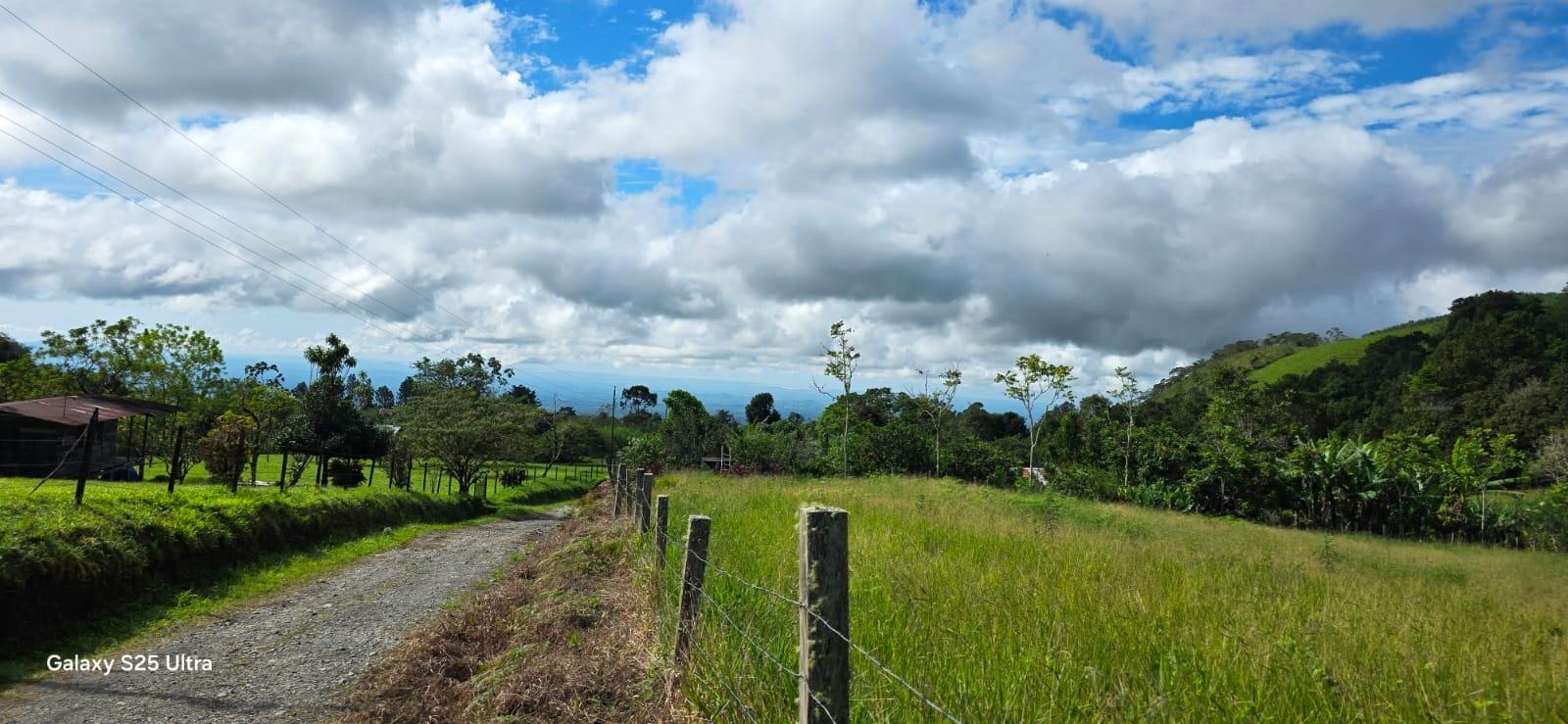 Terreno en venta en Dolega