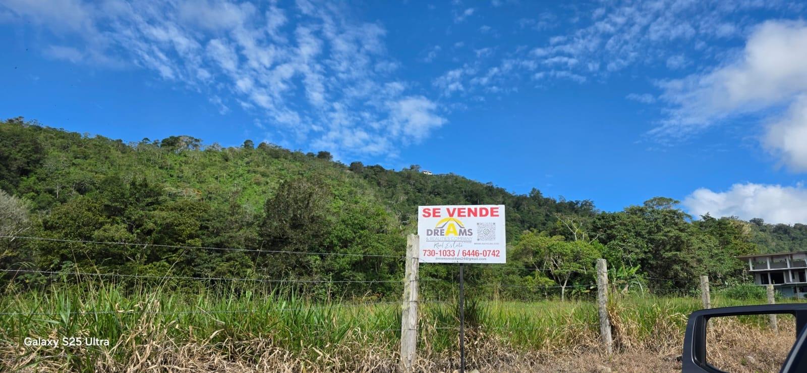 Terreno en venta en Dolega