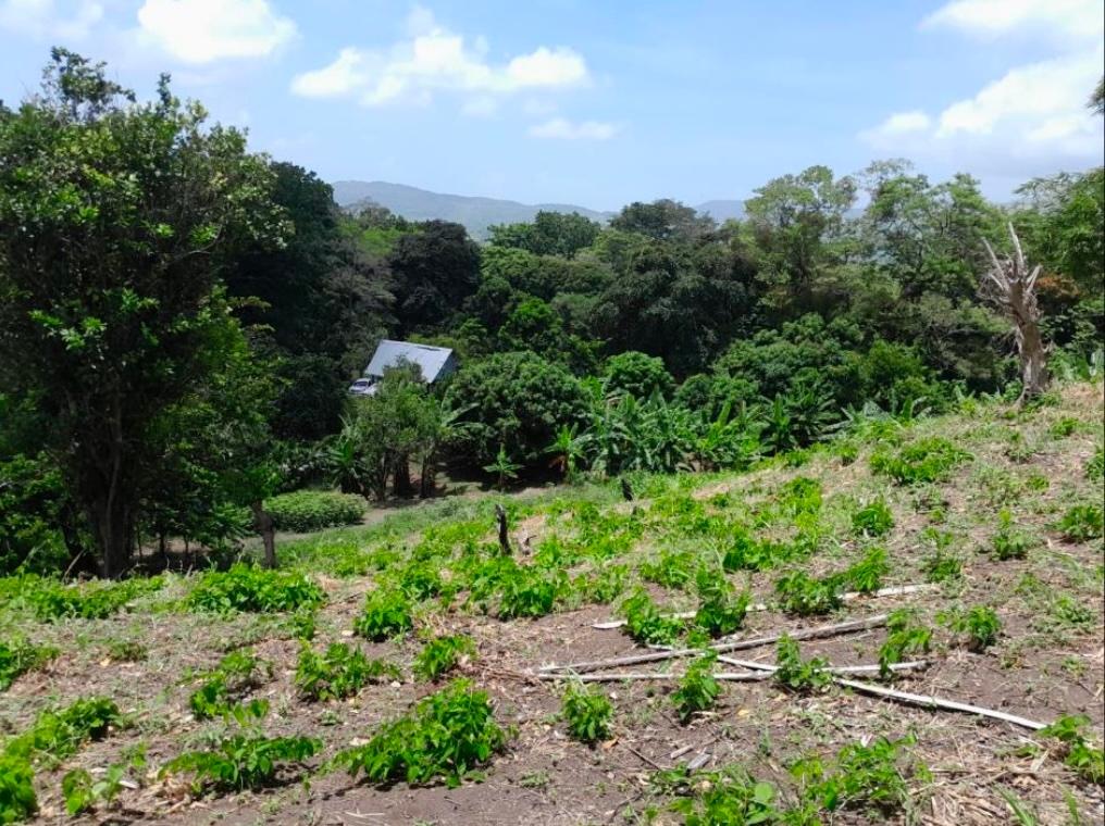 Finca en venta en Lídice