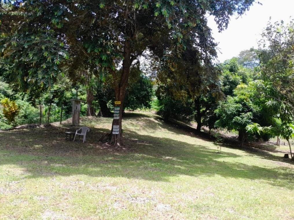 Finca en venta en Lídice