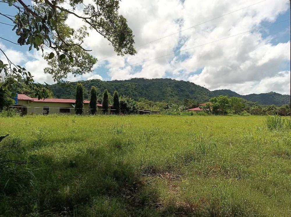 Terreno en venta en David