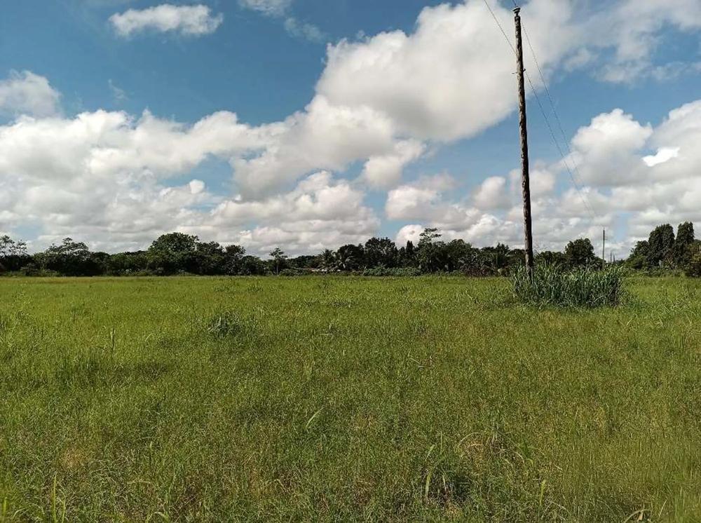 Terreno en venta en David
