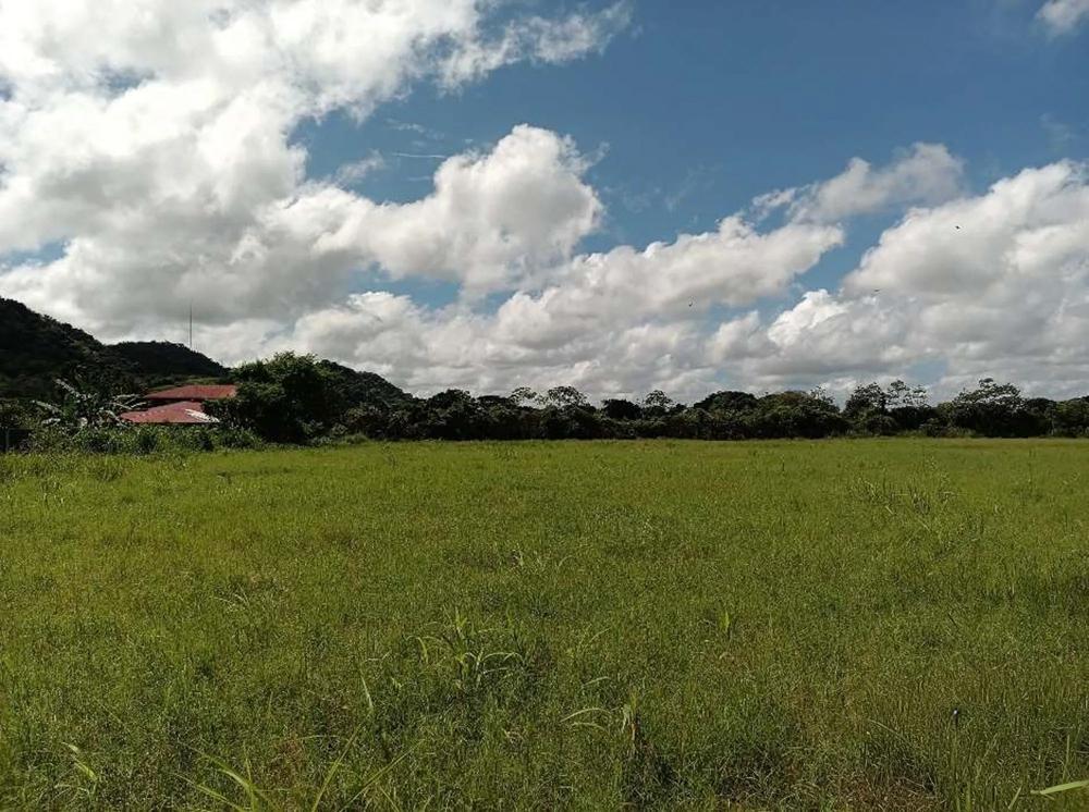 Terreno en venta en David