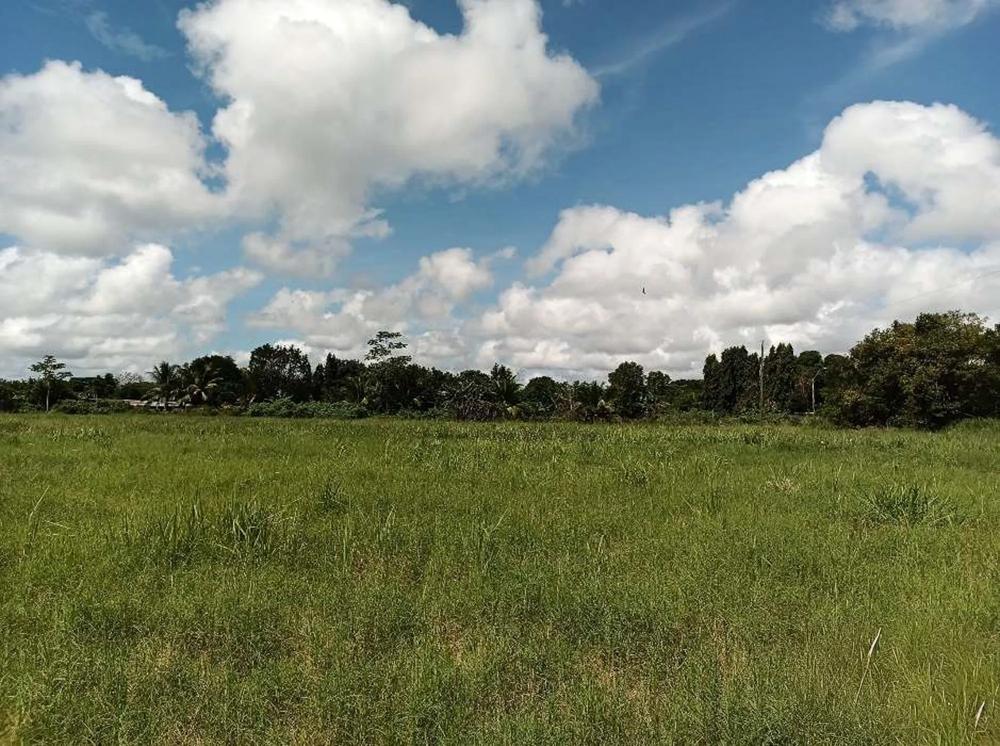 Terreno en venta en David
