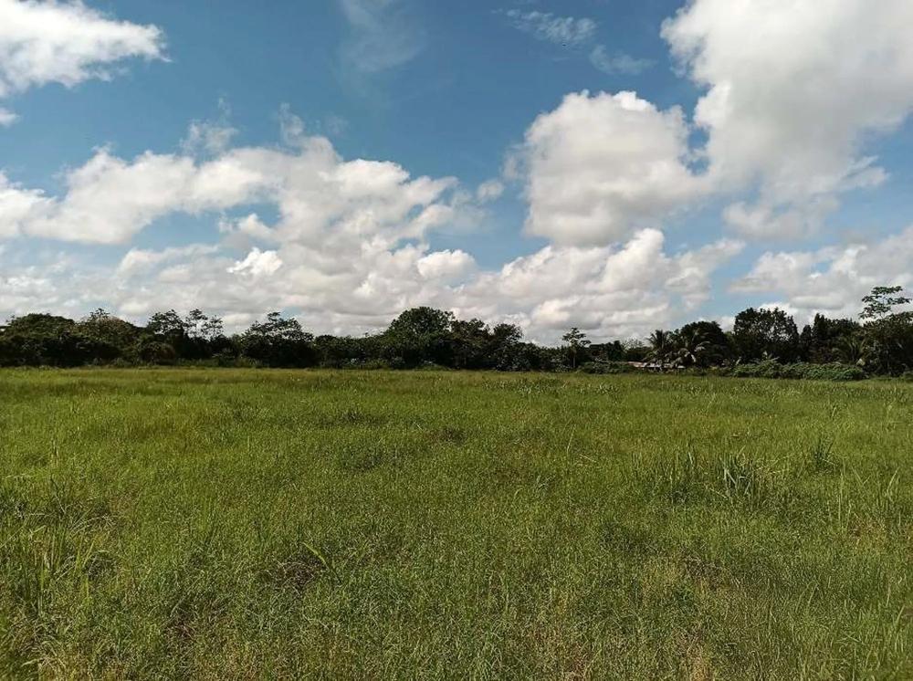 Terreno en venta en David