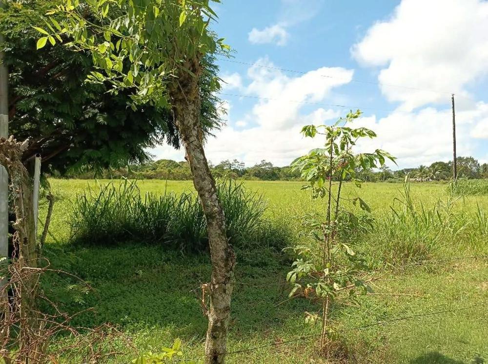 Terreno en venta en David