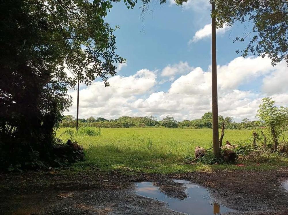 Terreno en venta en David