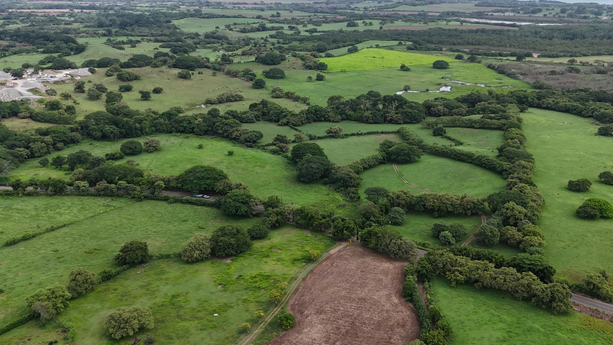 Finca en venta en Las Tablas