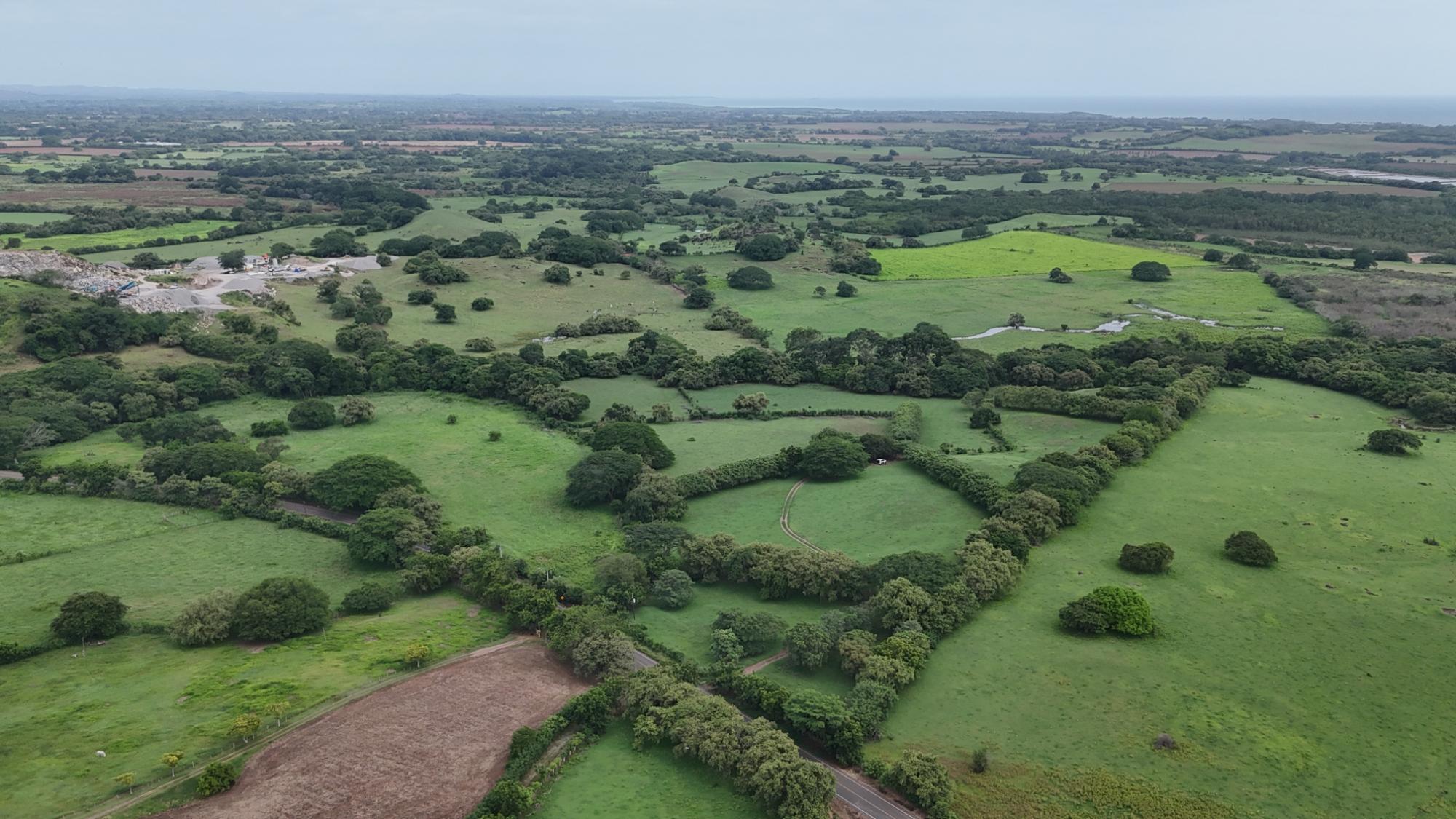 Finca en venta en Las Tablas