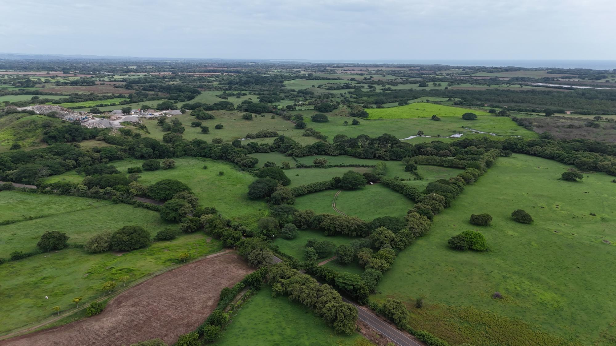 Finca en venta en Las Tablas