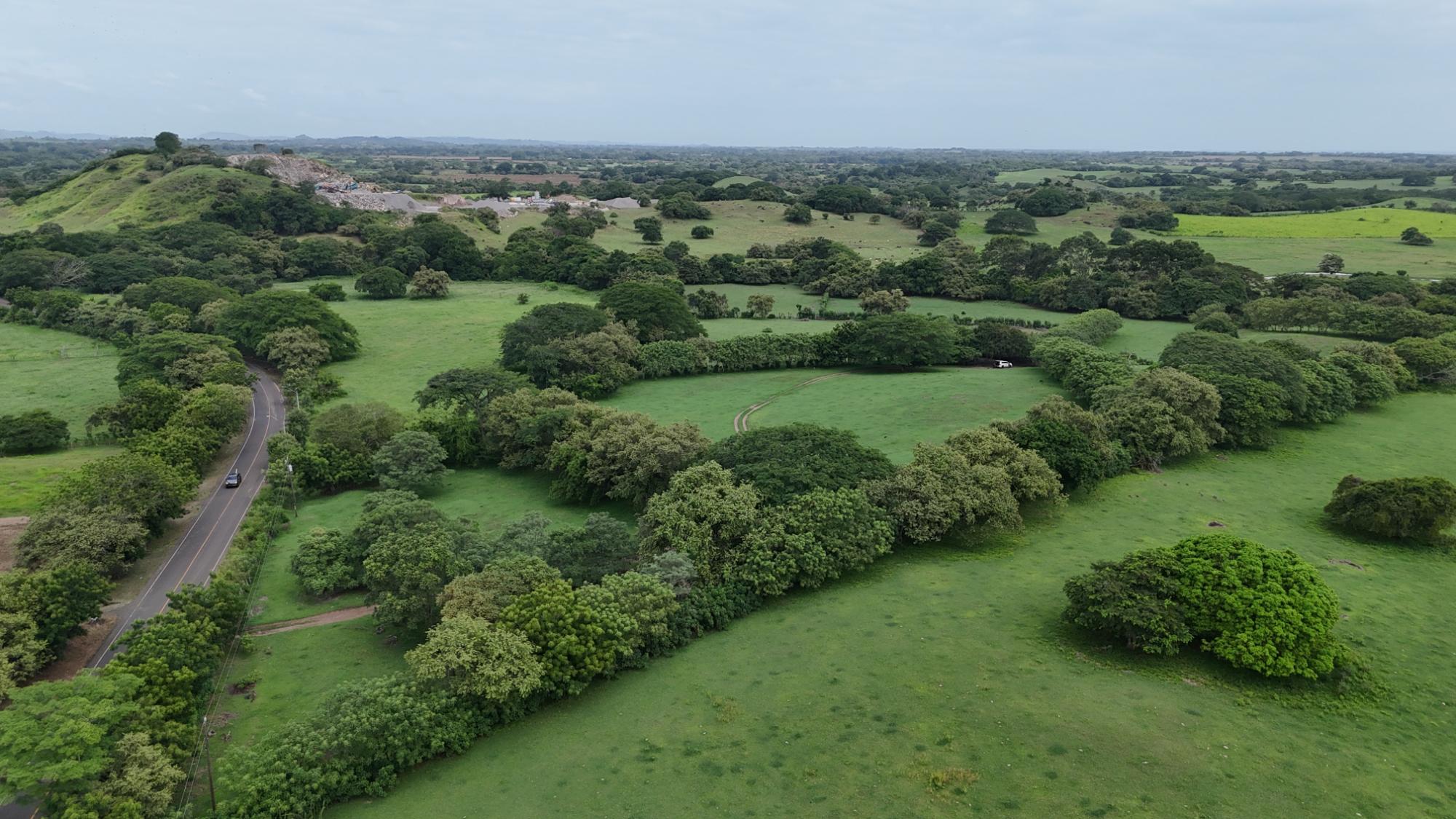 Finca en venta en Las Tablas