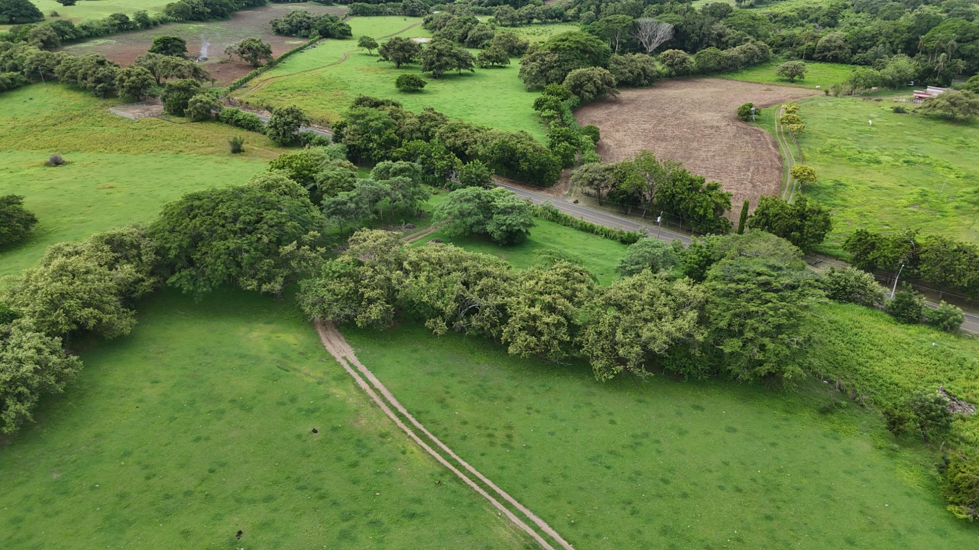 Finca en venta en Las Tablas