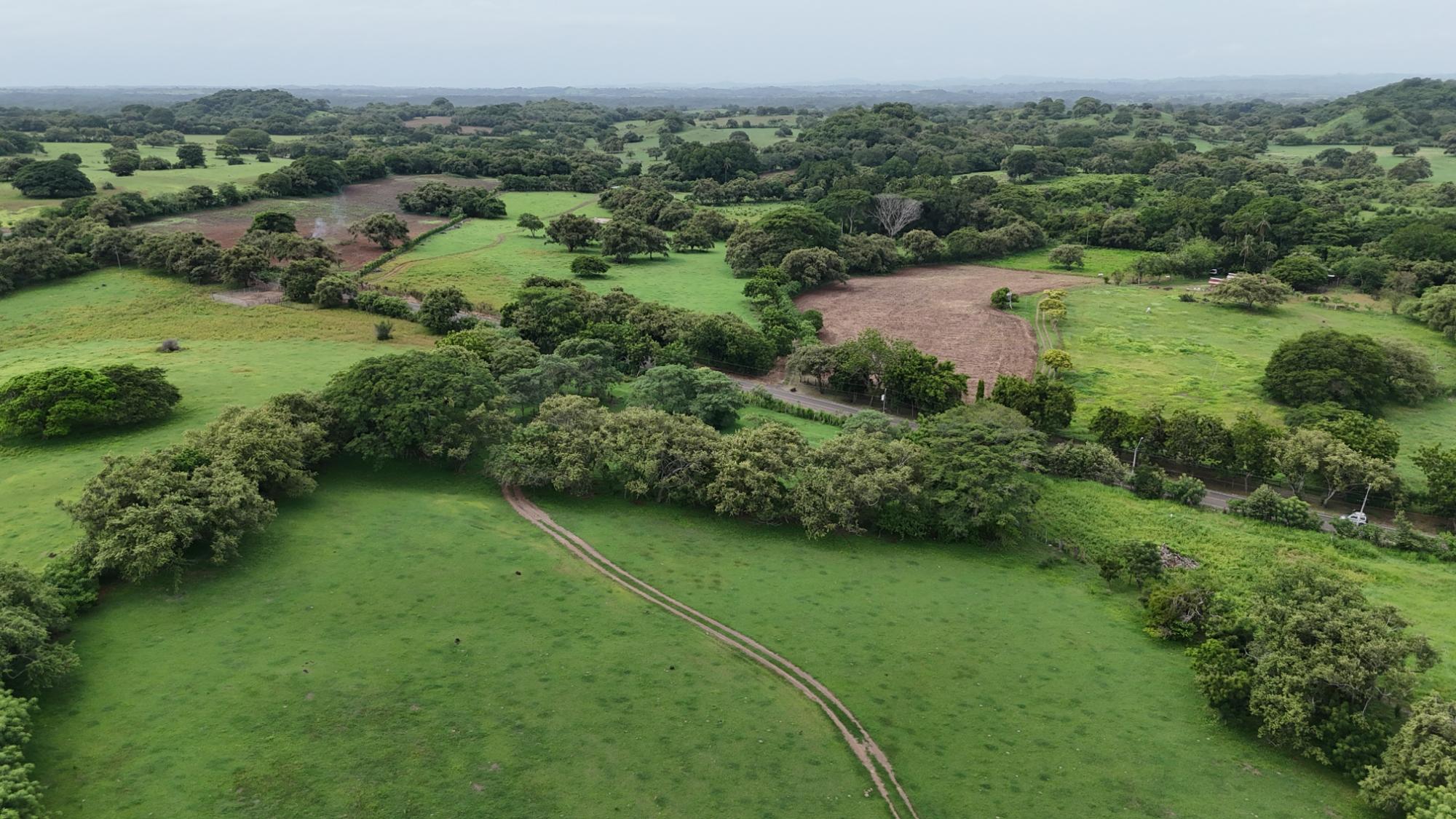Finca en venta en Las Tablas