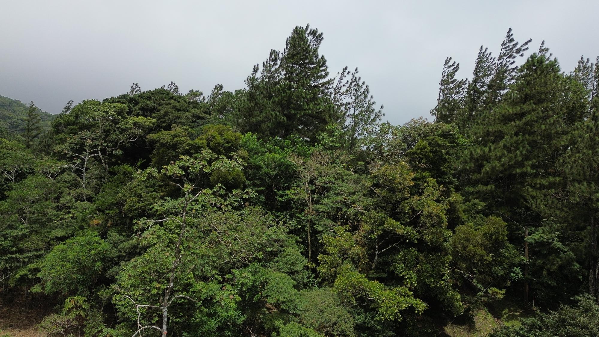 Terreno en venta en Altos del María