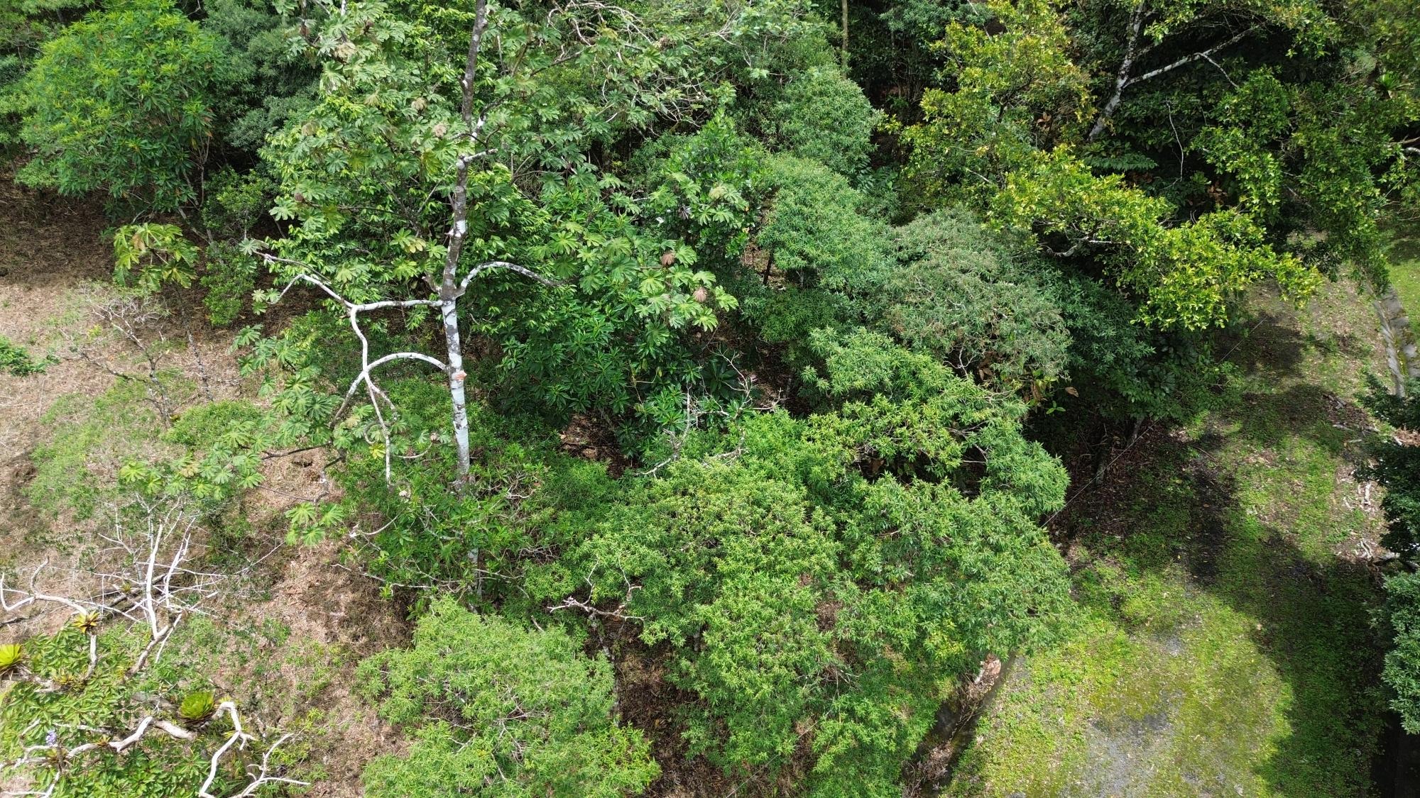 Terreno en venta en Altos del María