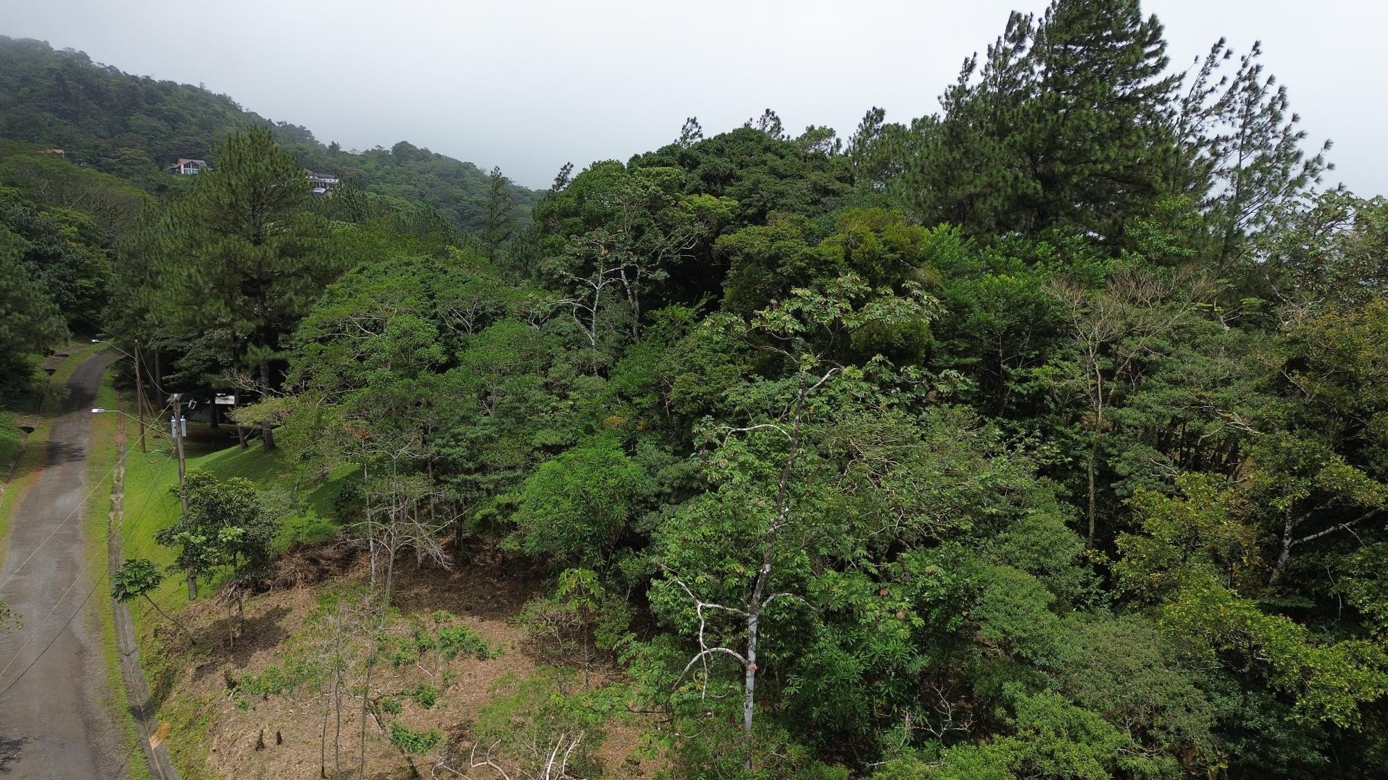 Terreno en venta en Altos del María