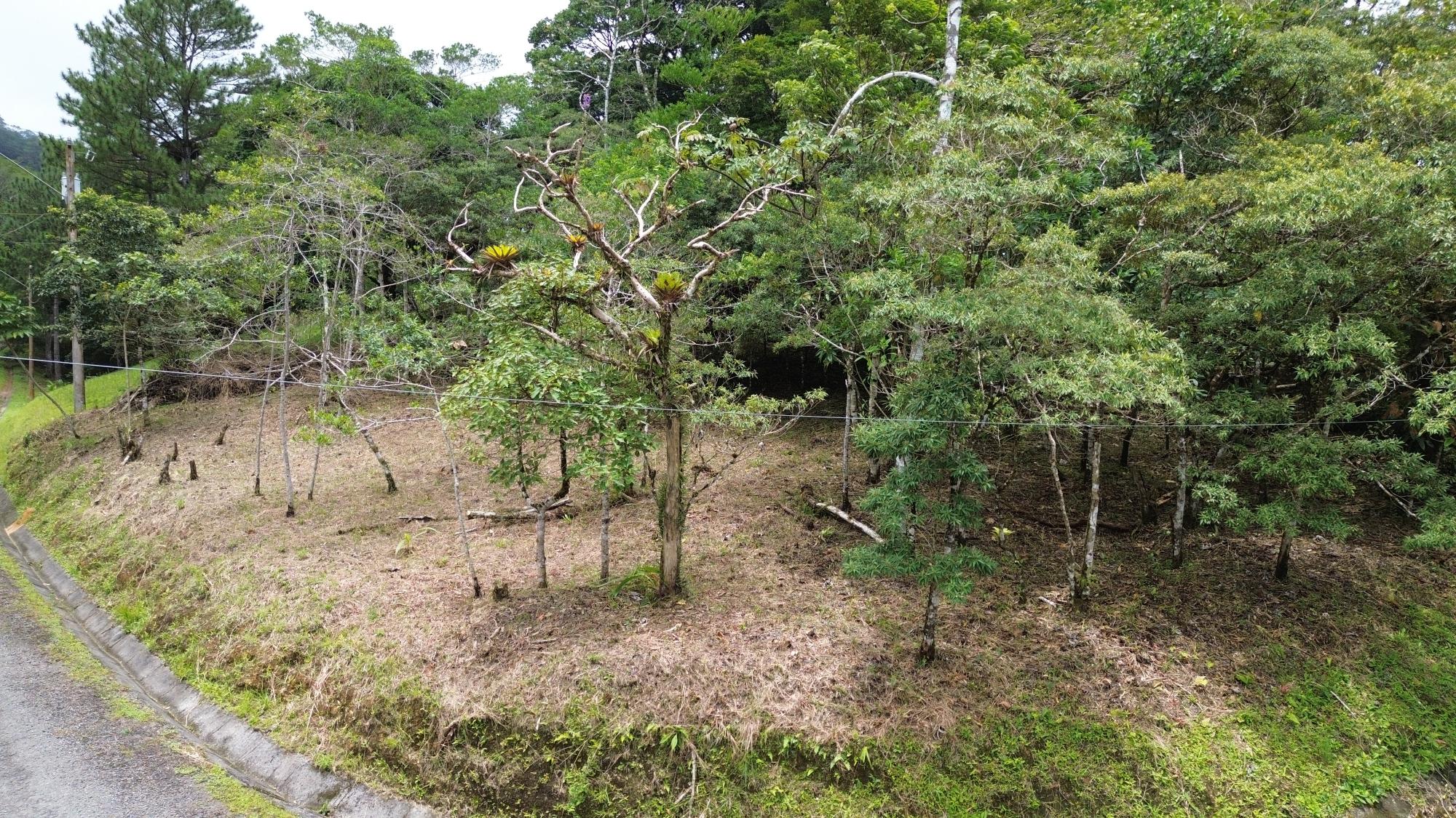 Terreno en venta en Altos del María