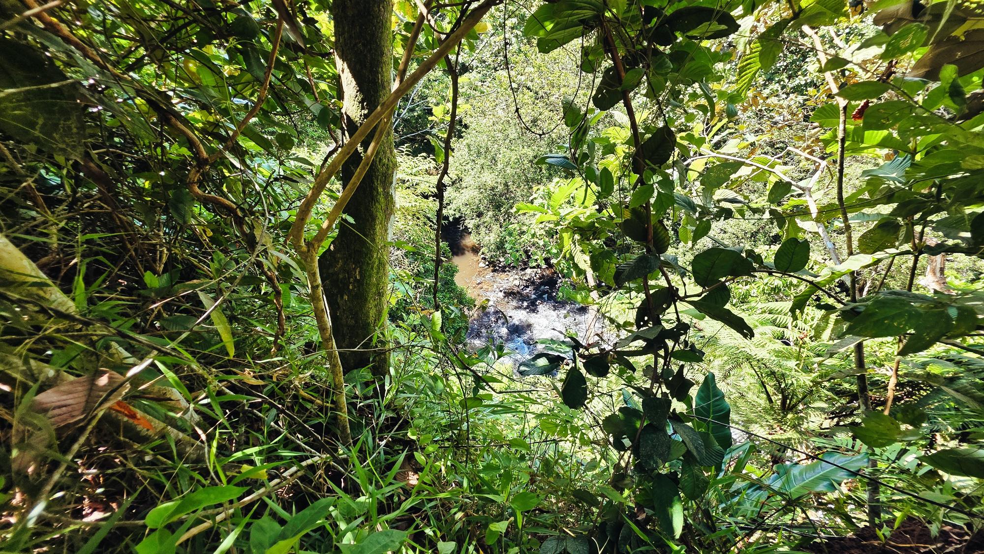 Terreno en venta en Bugaba