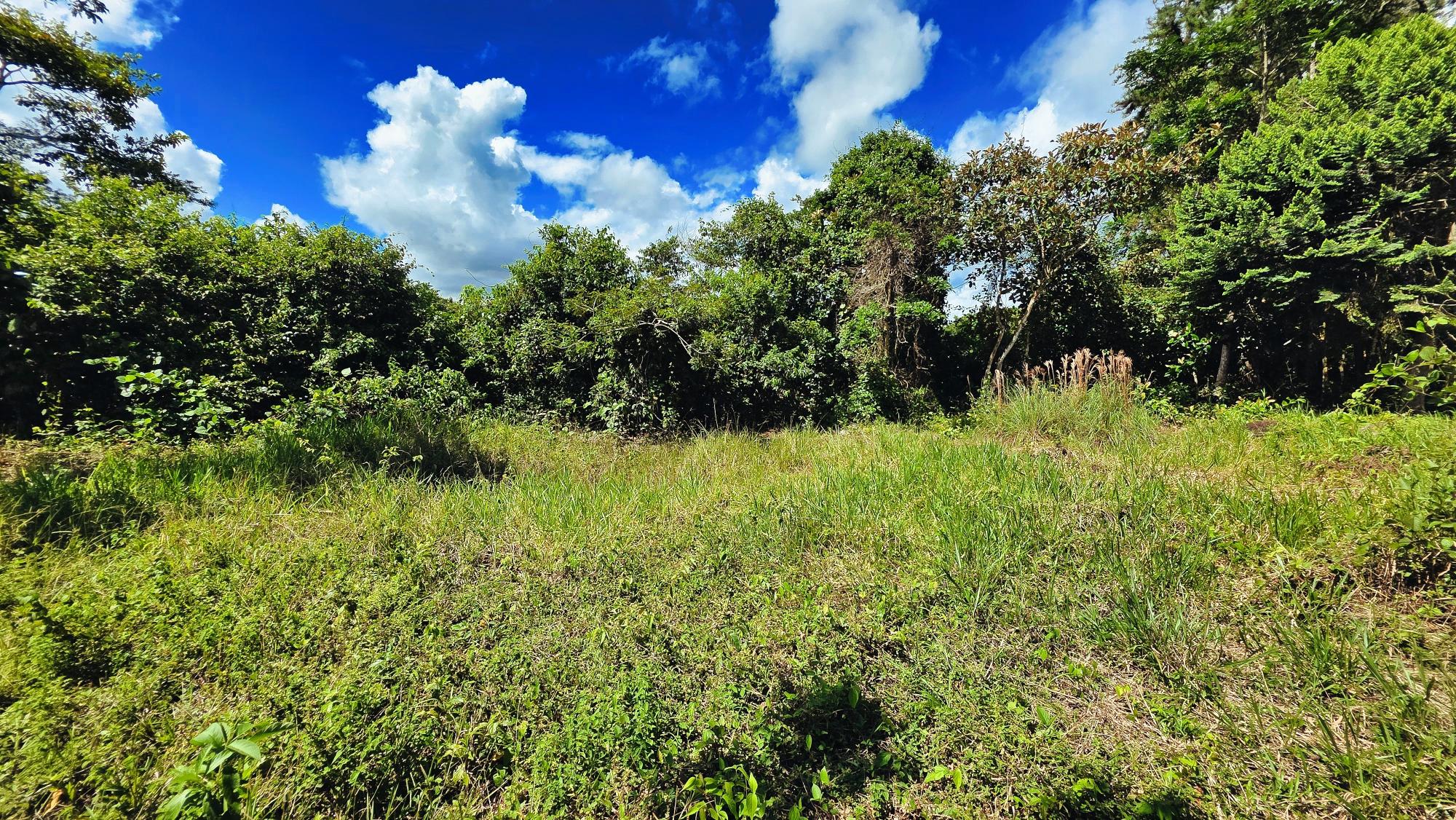 Terreno en venta en Bugaba