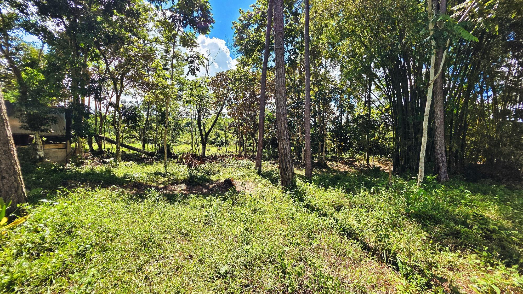 Terreno en venta en Bugaba