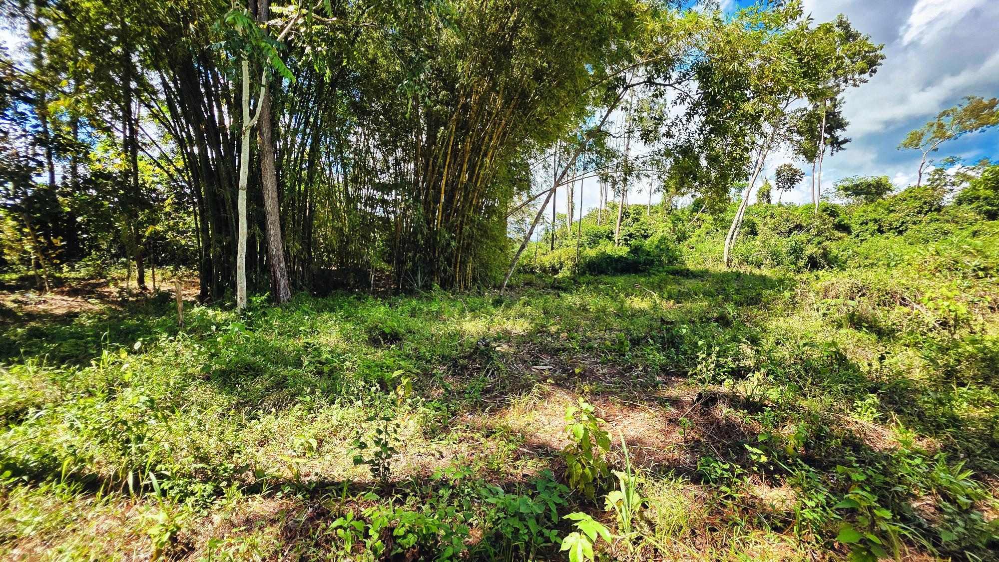 Terreno en venta en Bugaba