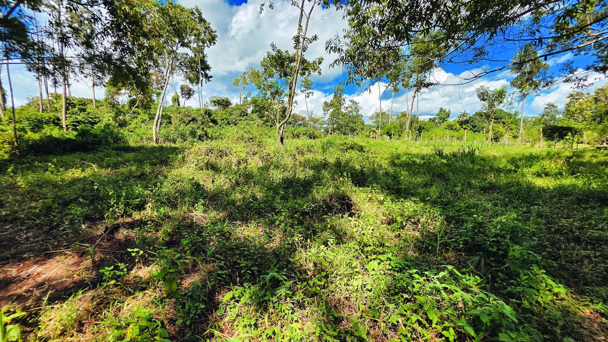 Terreno en venta en Bugaba