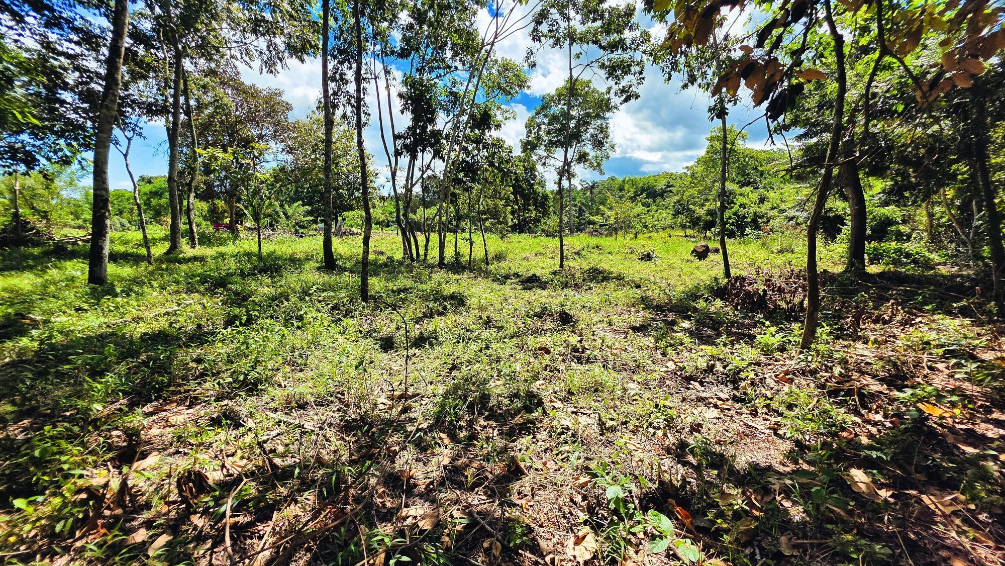 Terreno en venta en Bugaba