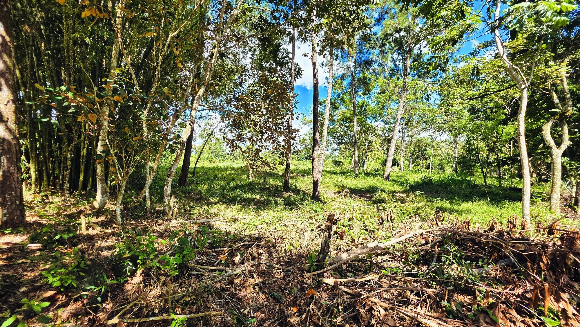 Terreno en venta en Bugaba
