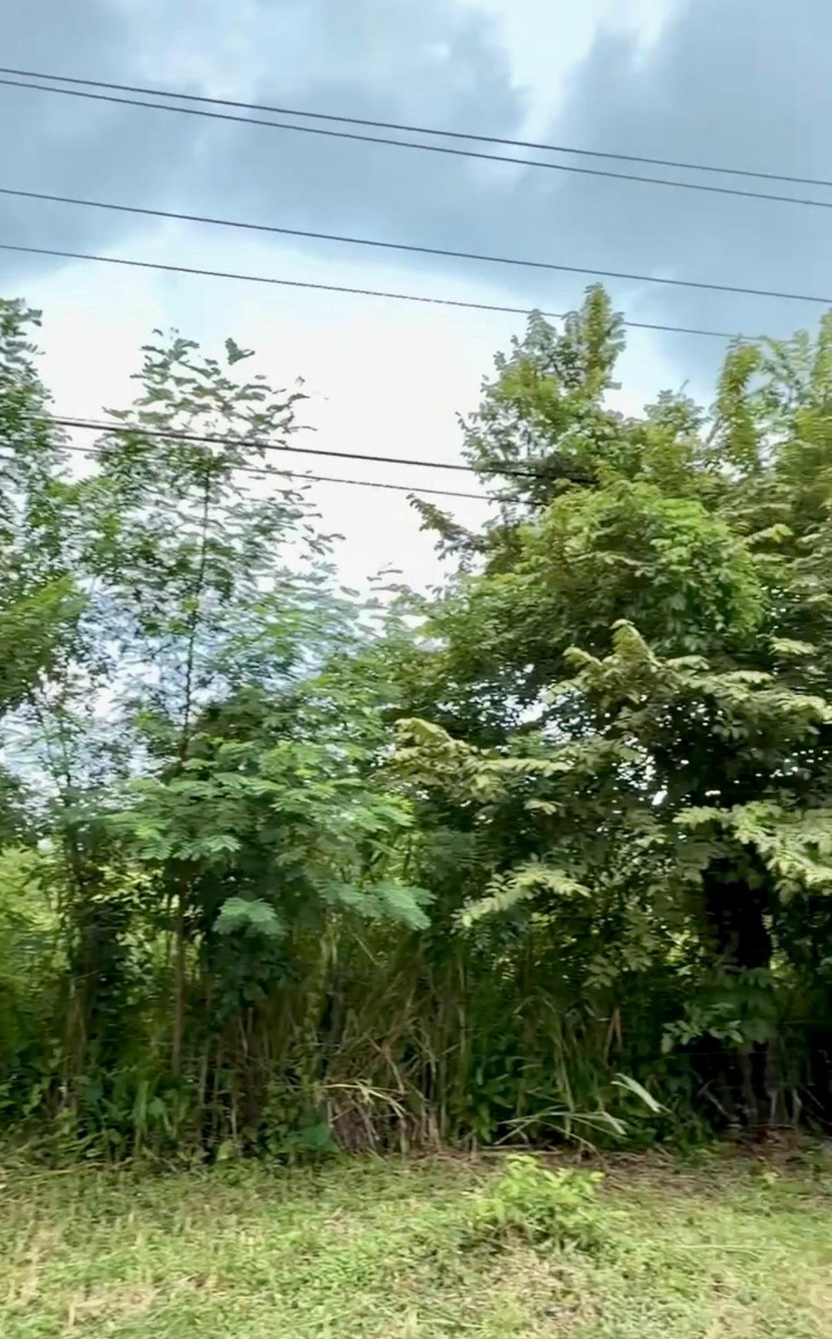 Terreno en venta en Gorgona