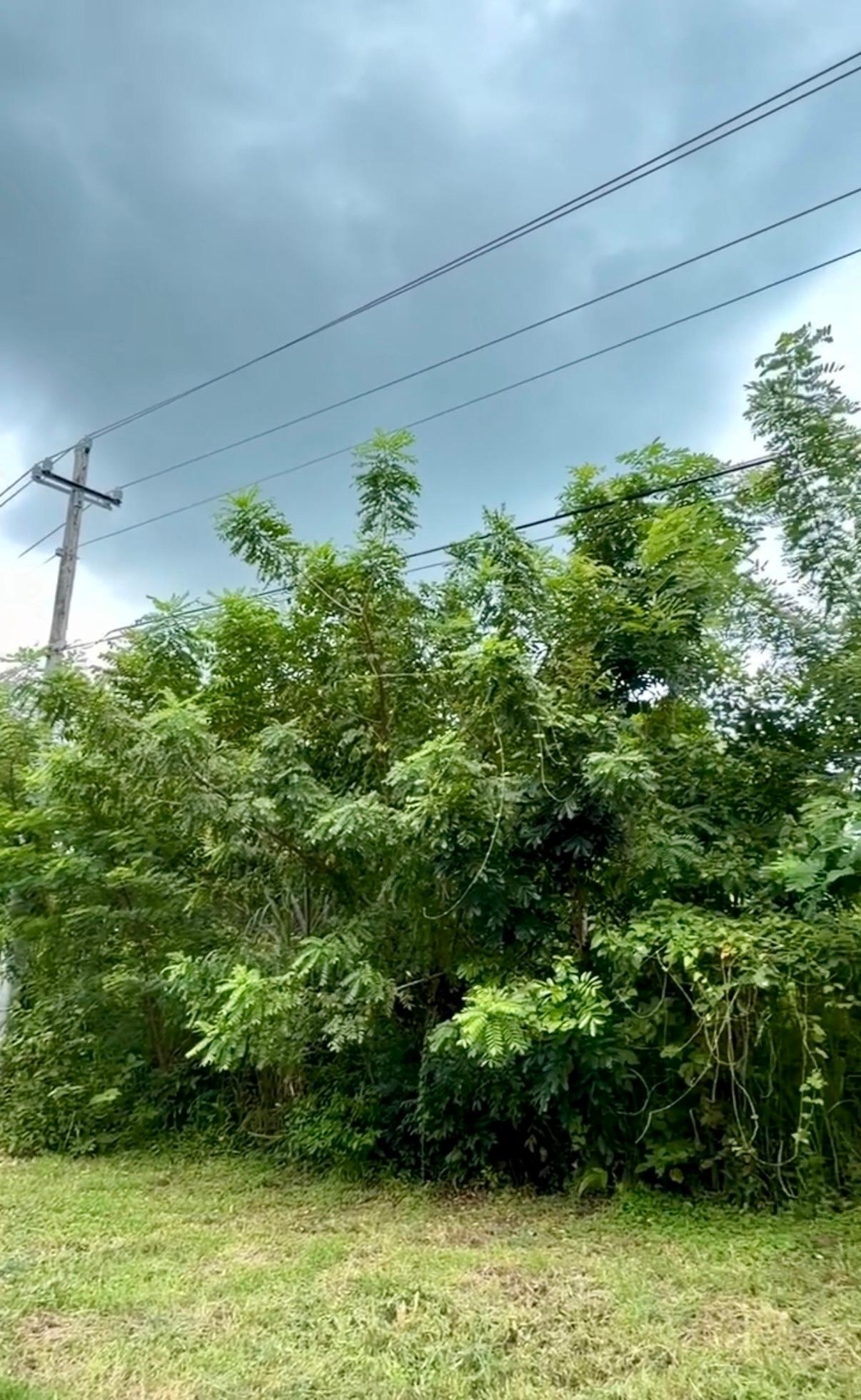 Terreno en venta en Gorgona