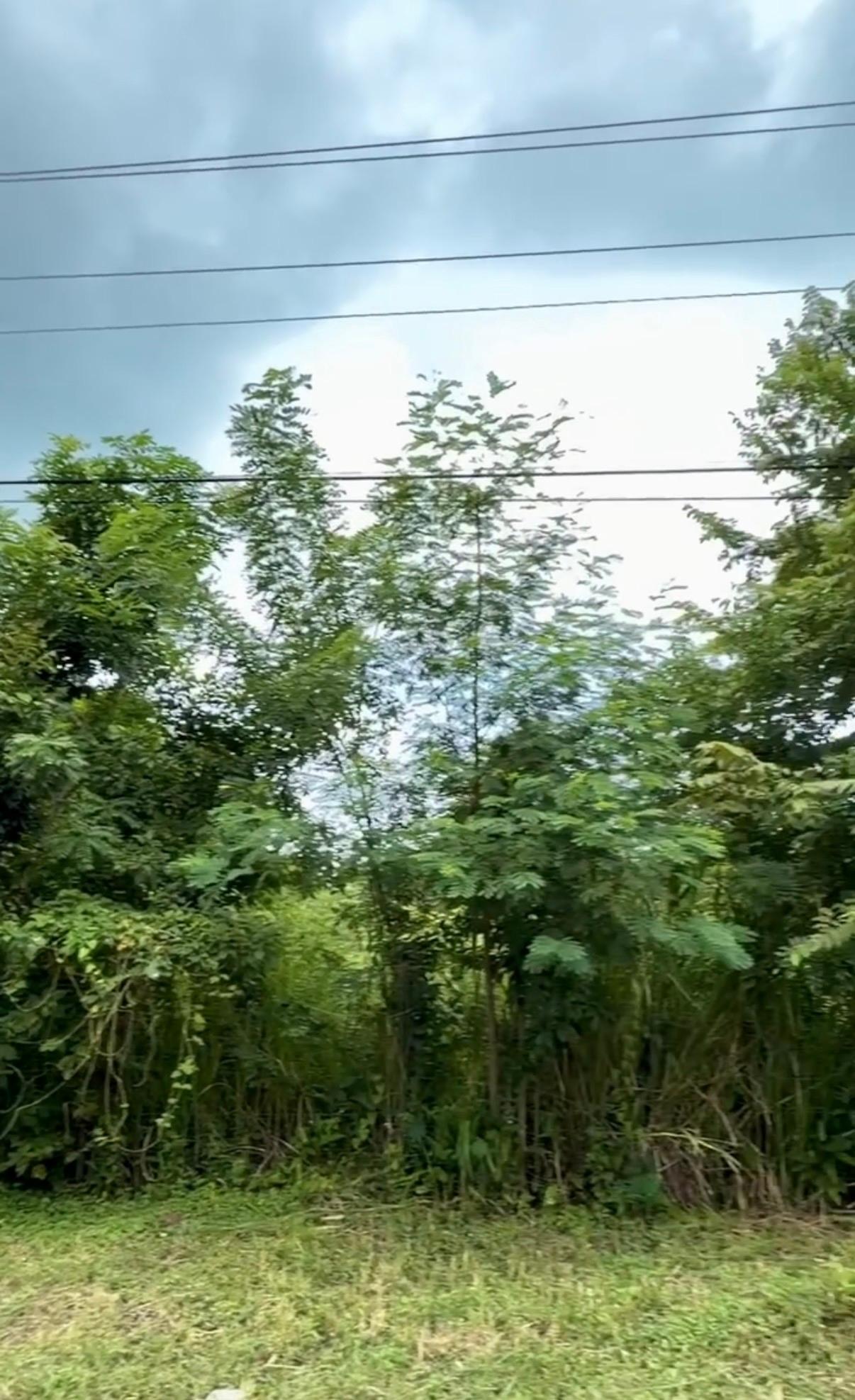 Terreno en venta en Gorgona