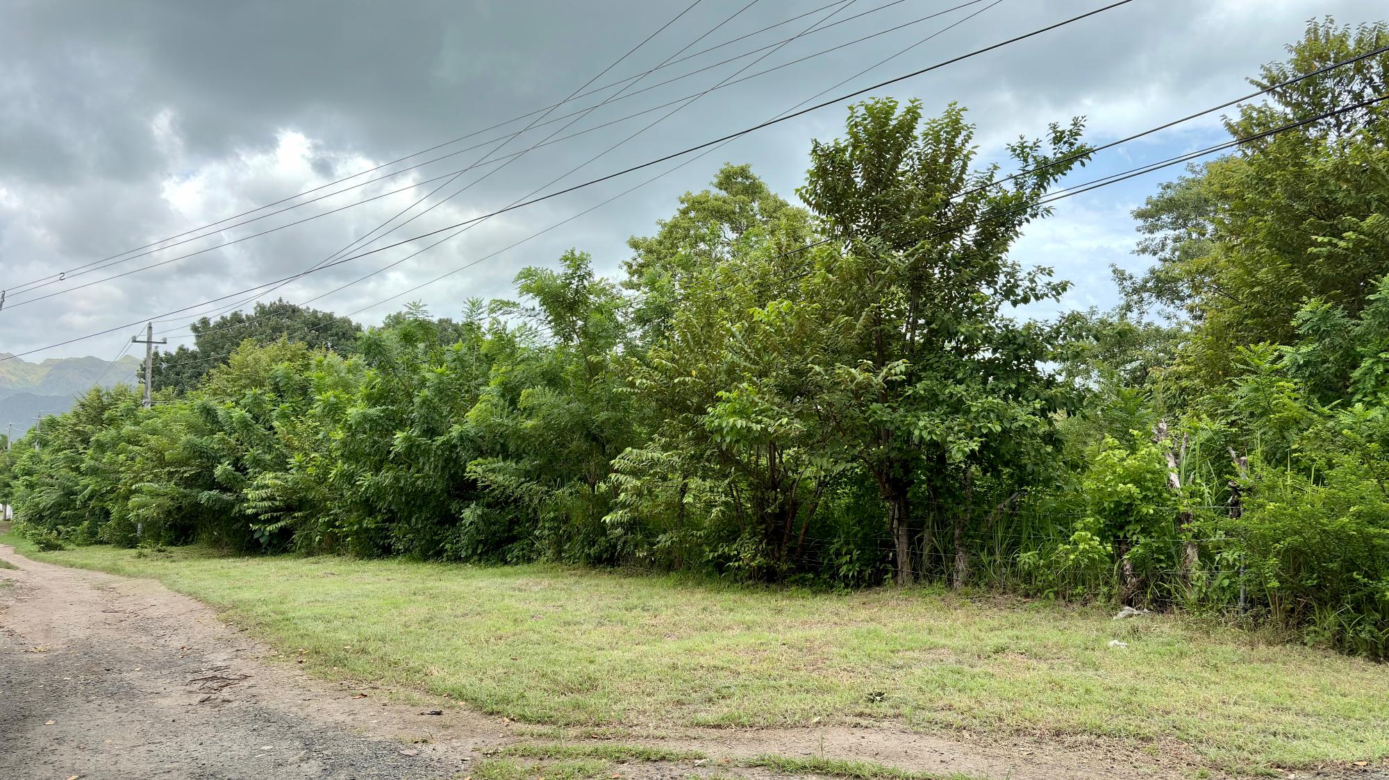 Terreno en venta en Gorgona
