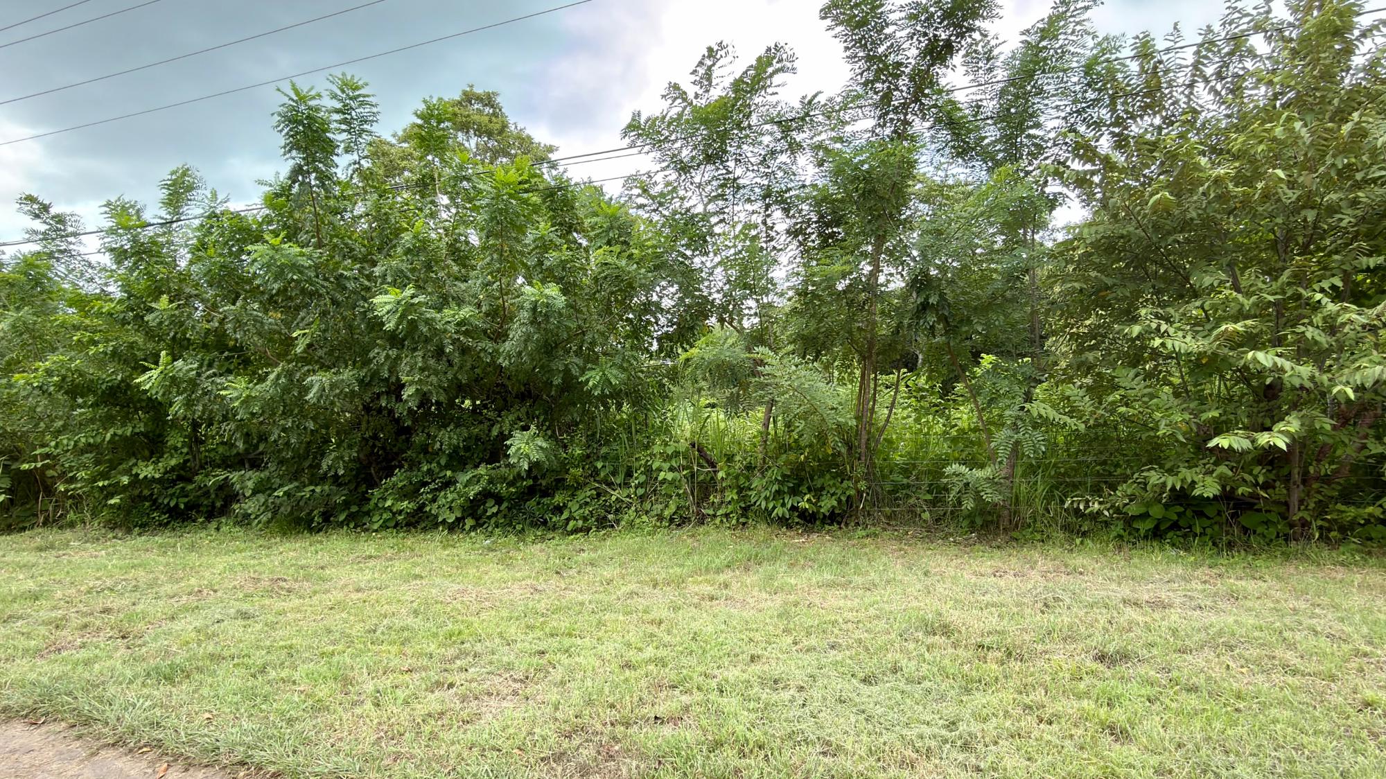 Terreno en venta en Gorgona