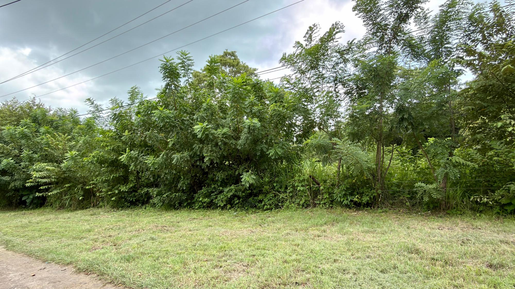 Terreno en venta en Gorgona