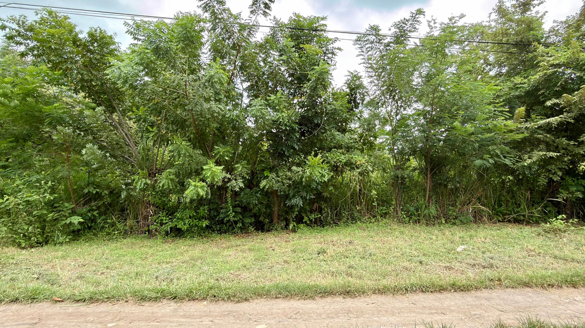 Terreno en venta en Gorgona