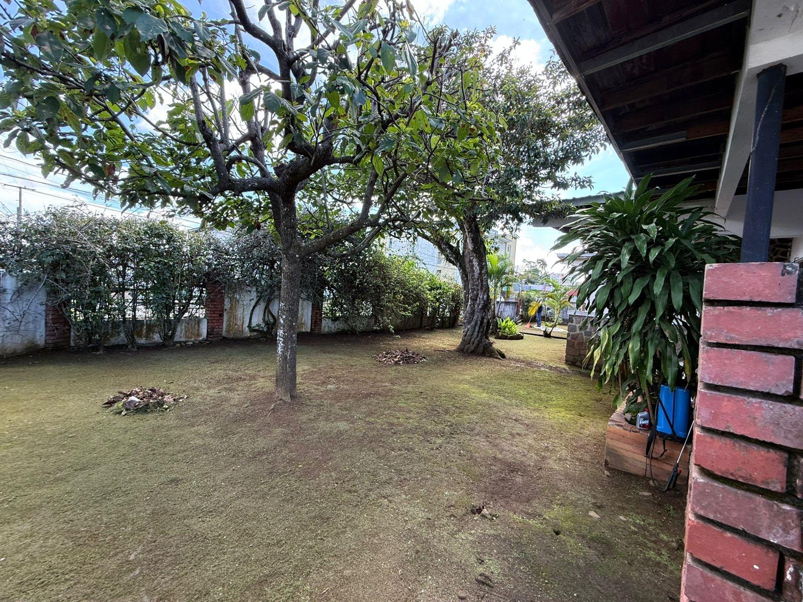 Terreno en venta en David