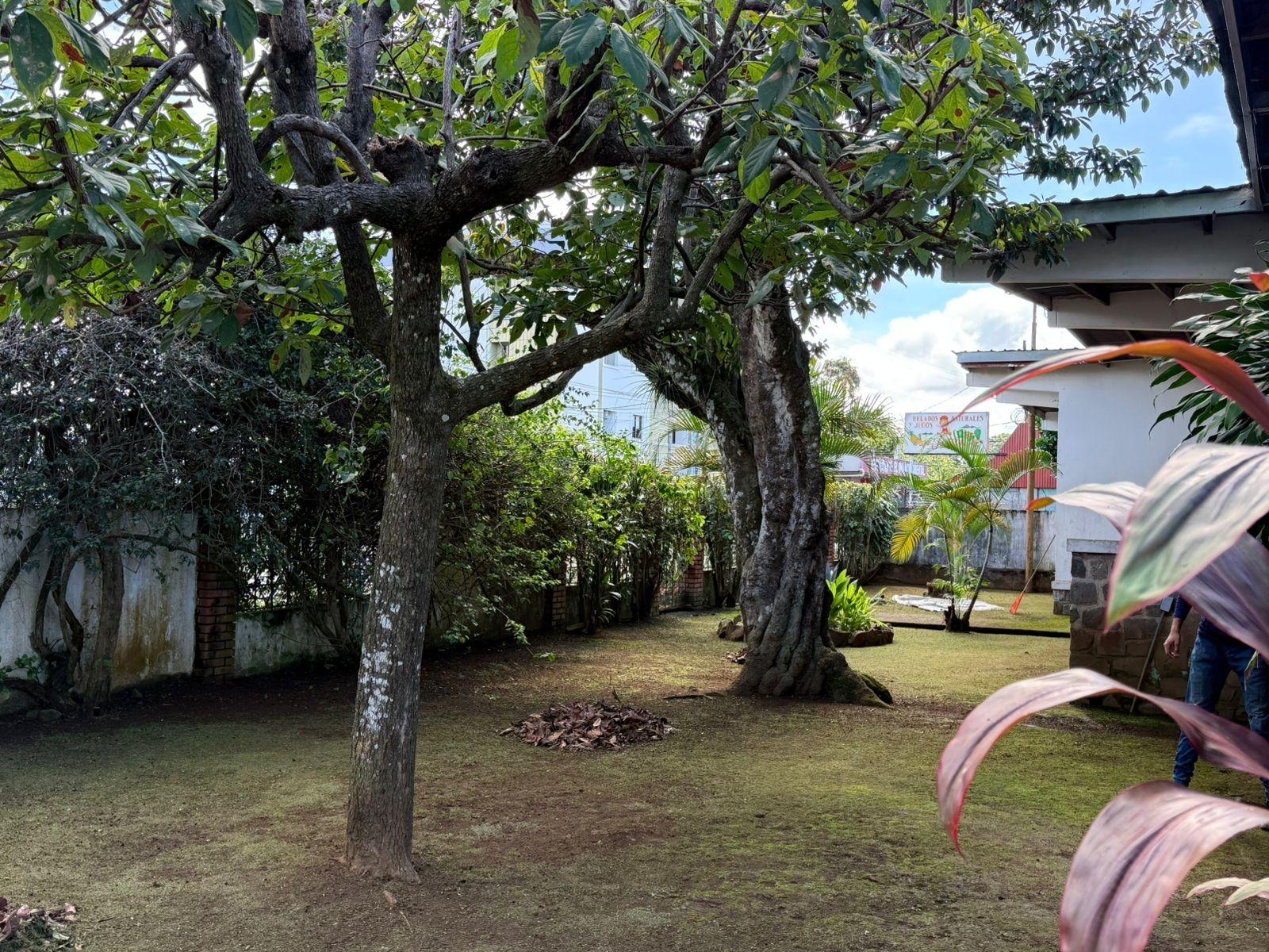 Terreno en venta en David