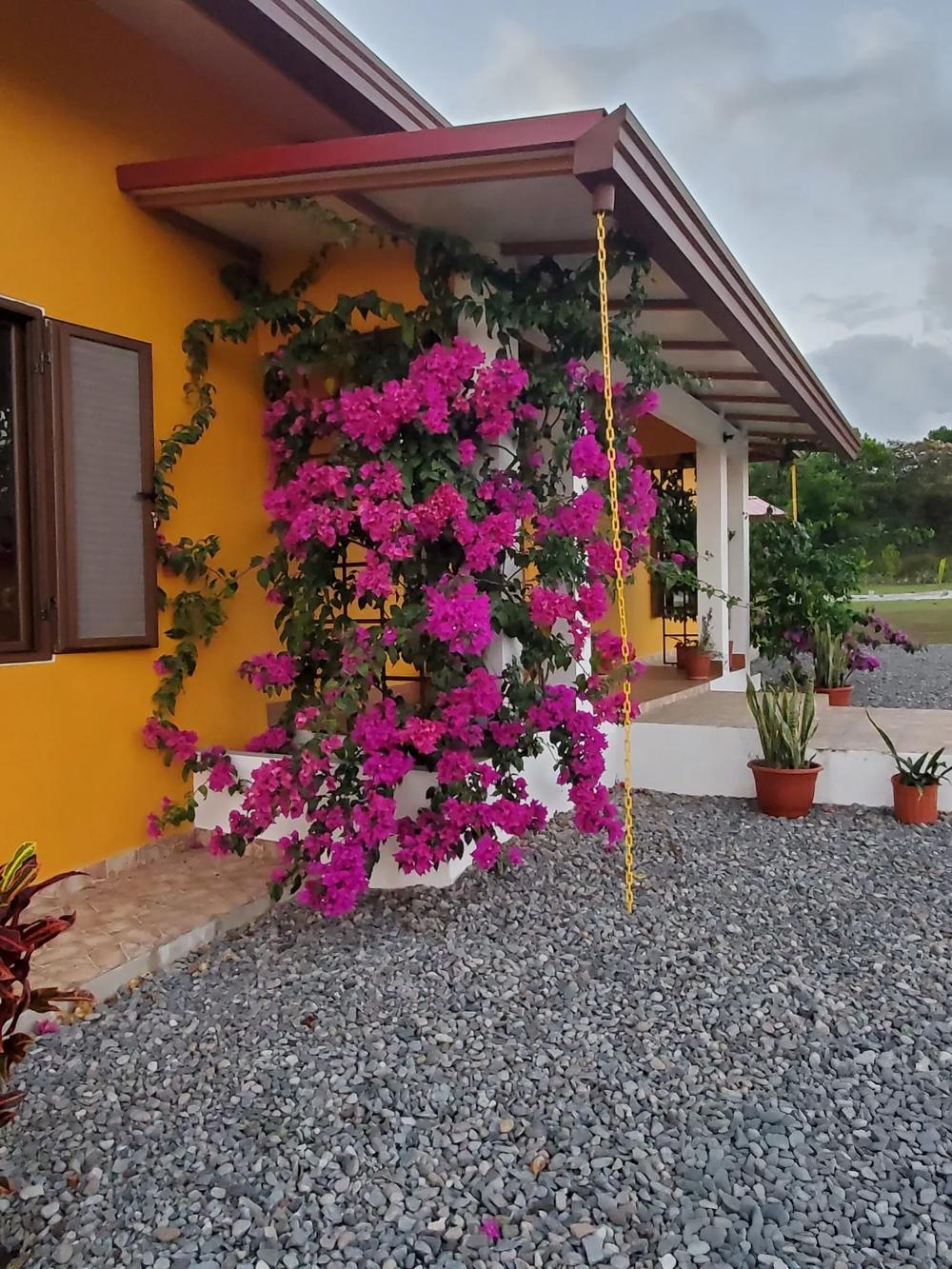 Casa en venta en Dolega