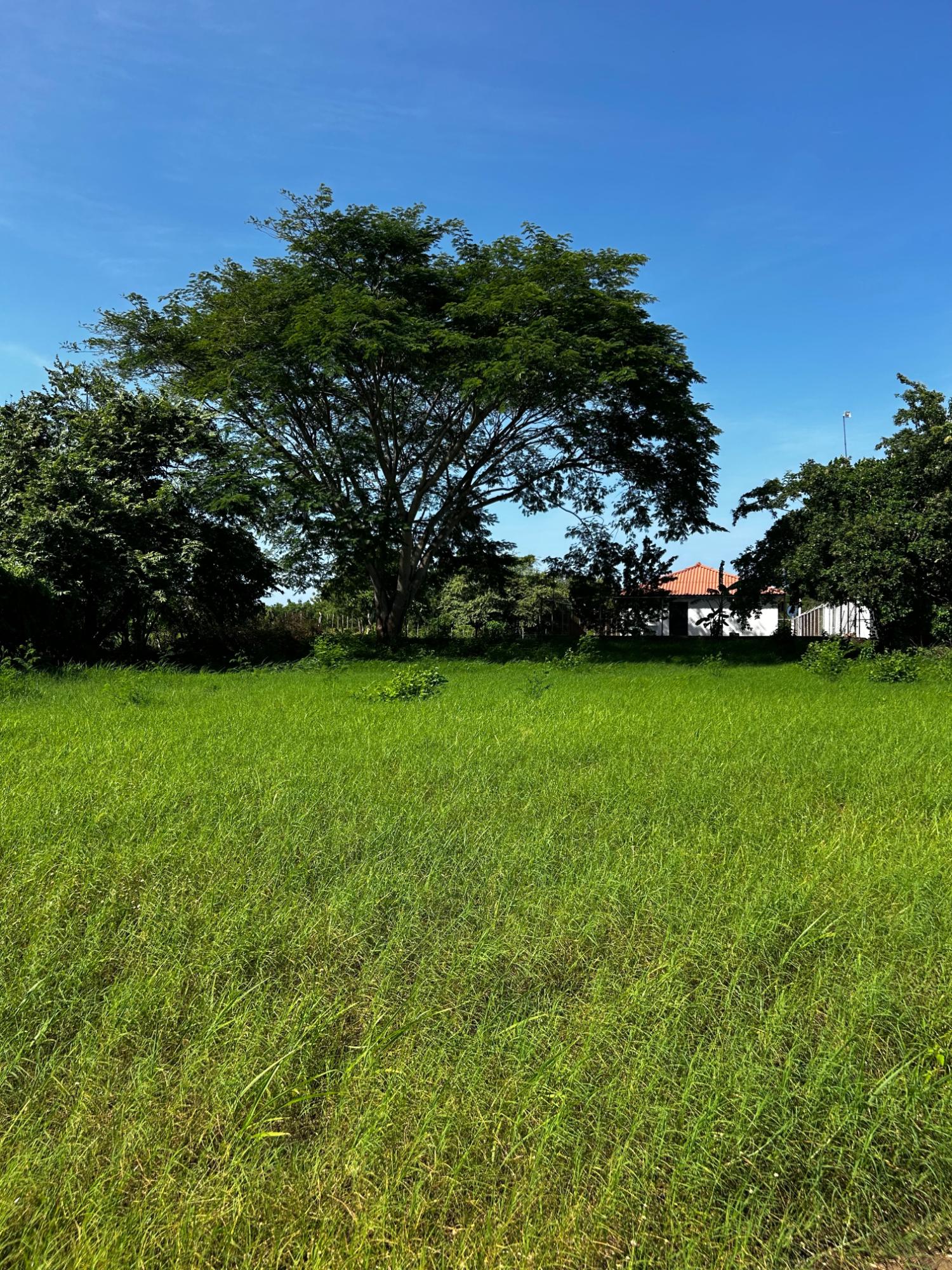 Terreno en venta en Playa Rompio