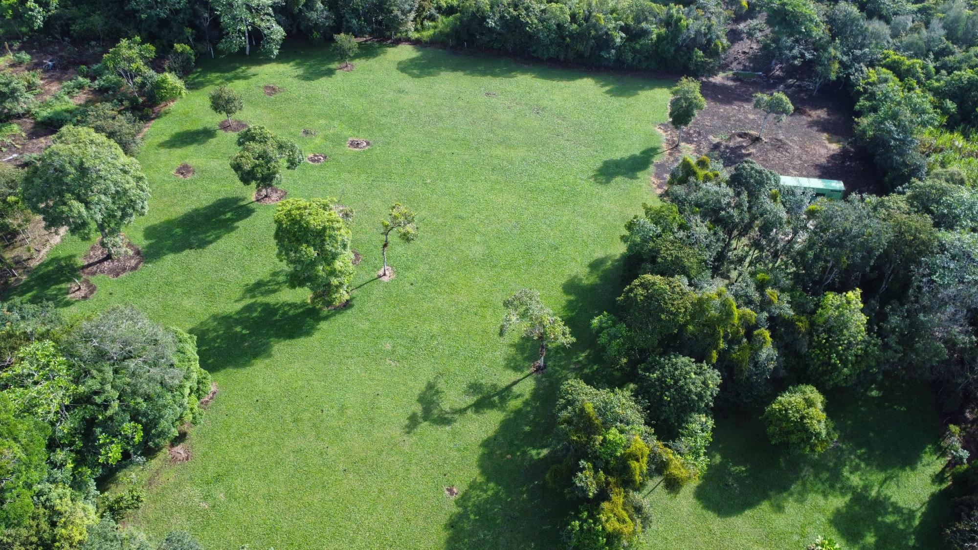 Terreno en venta en Potrerillos Arriba