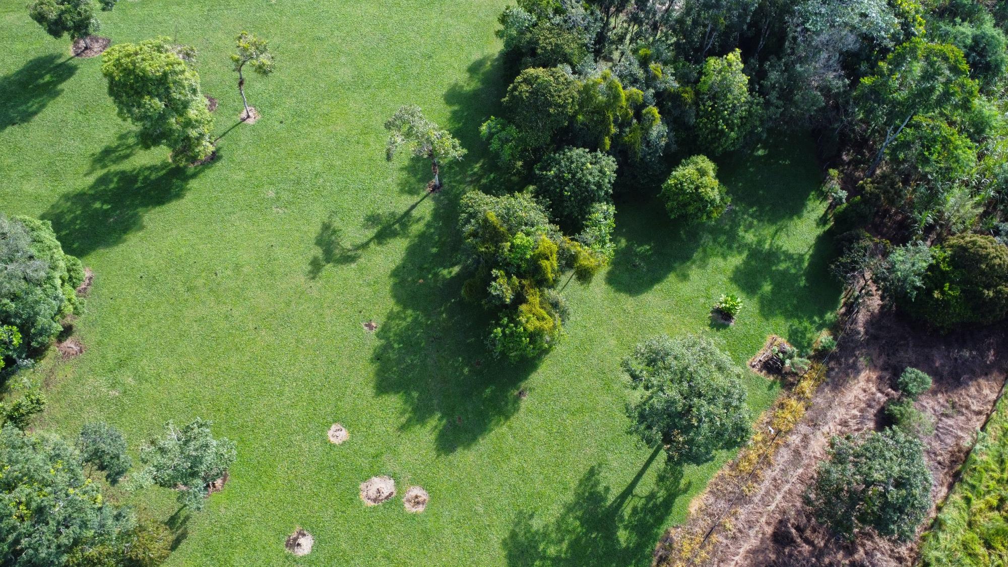 Terreno en venta en Potrerillos Arriba