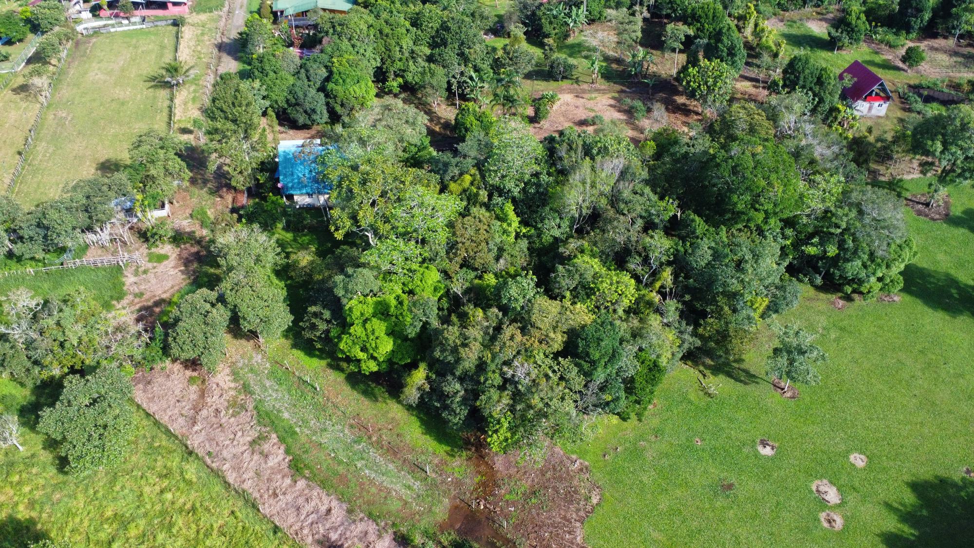 Terreno en venta en Potrerillos Arriba