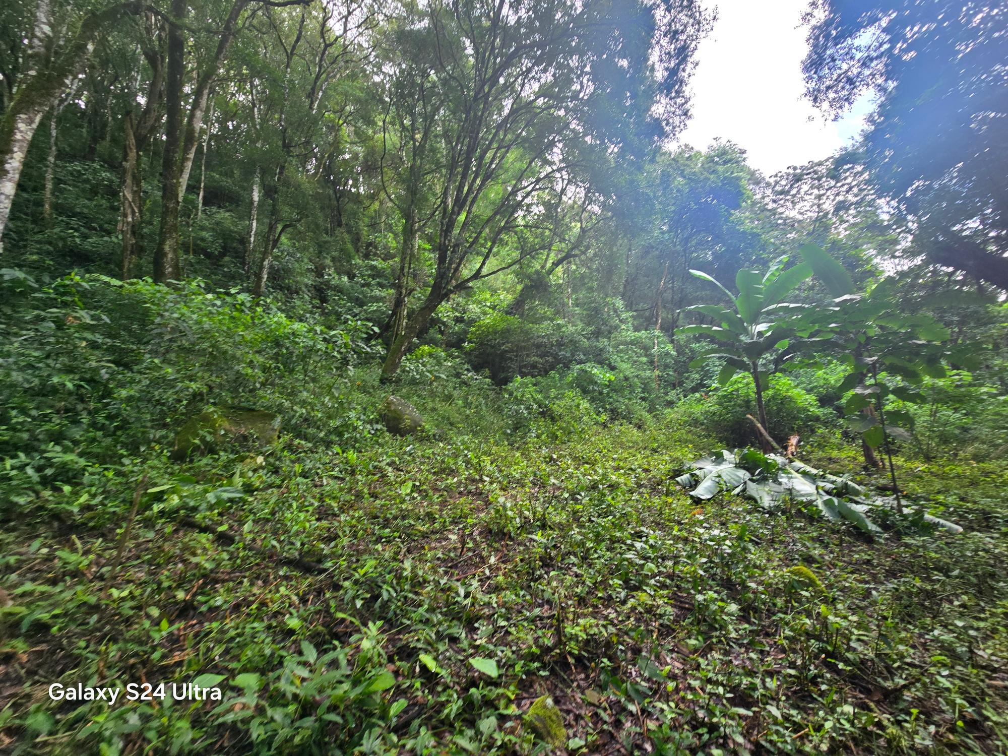 Finca en venta en Boquete